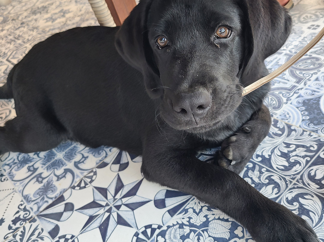 The Cubang Huts Lembongan主图