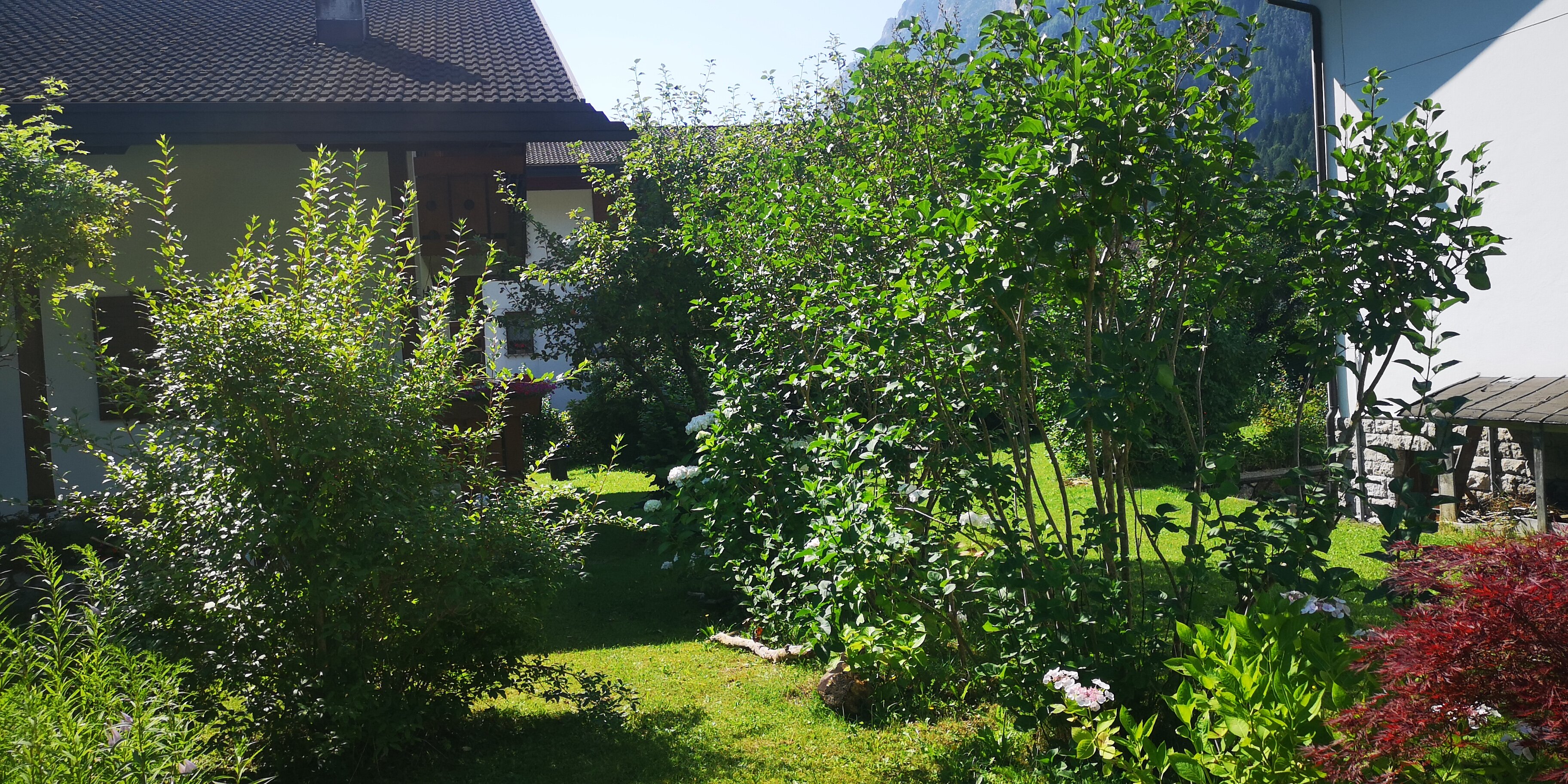 Bed and Breakfast LaDina-官方