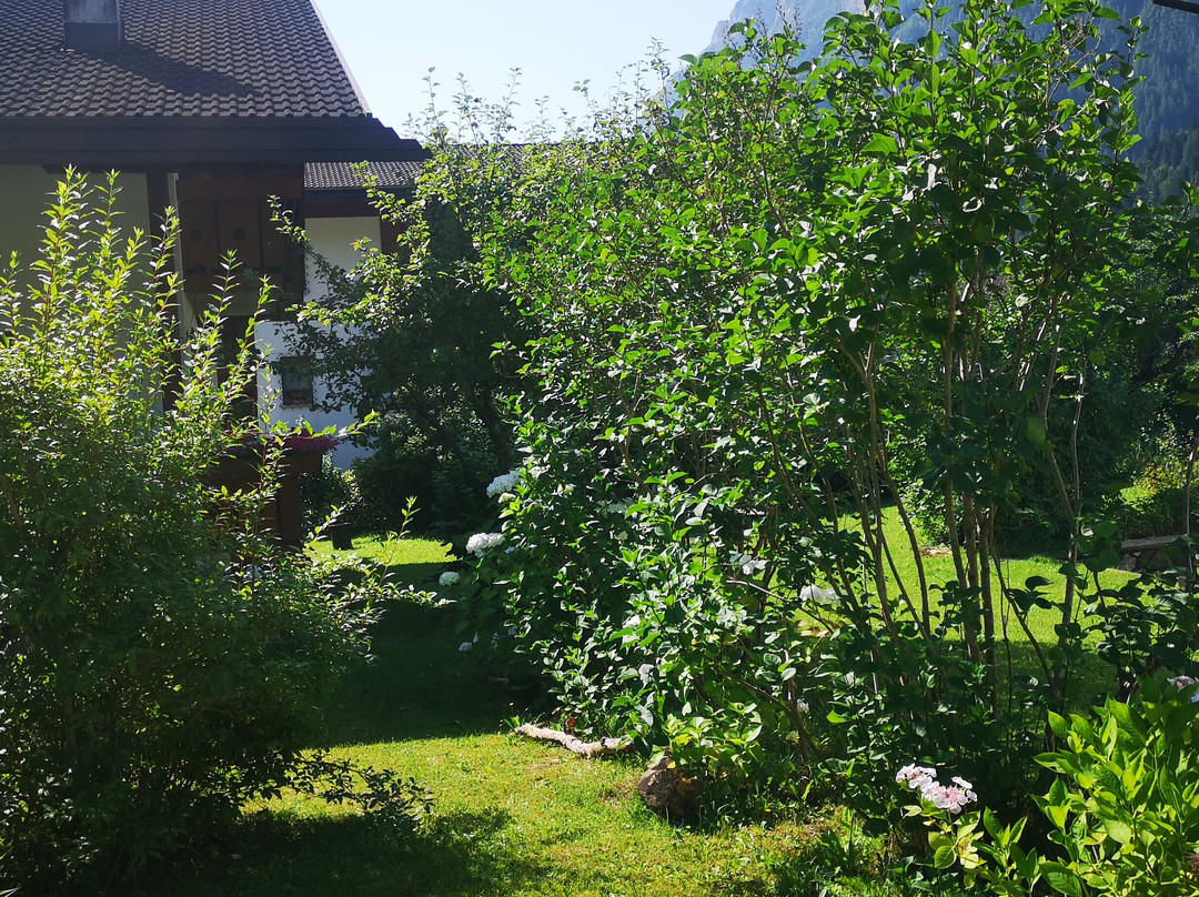 Bed and Breakfast LaDina主图