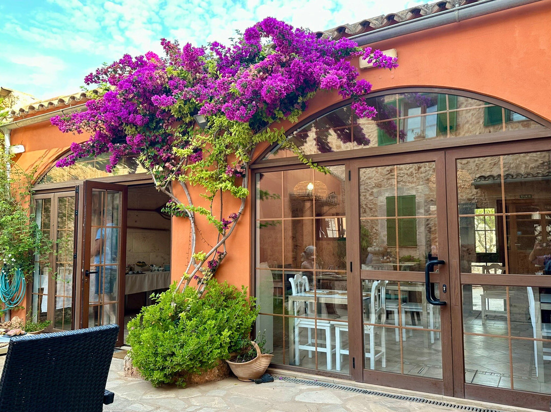 Petit Hotel Algaida主图