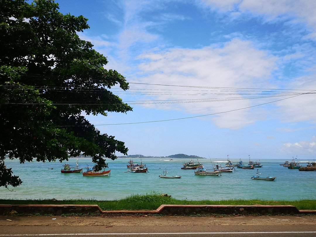 Sawa Travels Sri Lanka景点图片