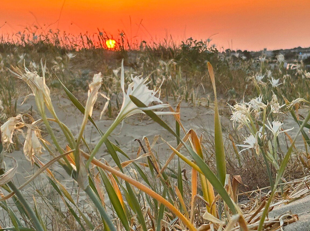 Palazzo San Giovanni主图
