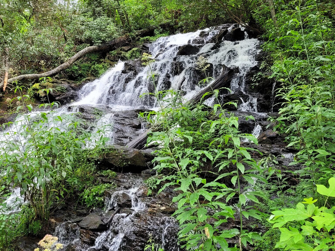 Trahlyta Falls景点图片