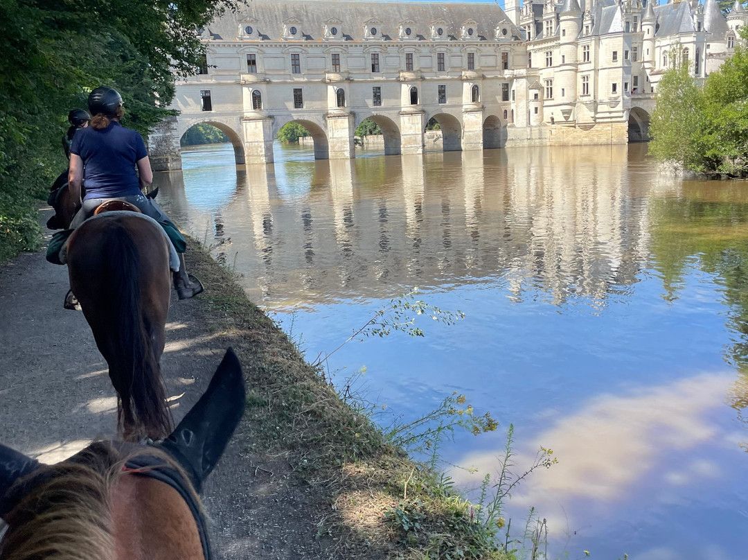 Loire Perspectives-布洛瓦必去景点