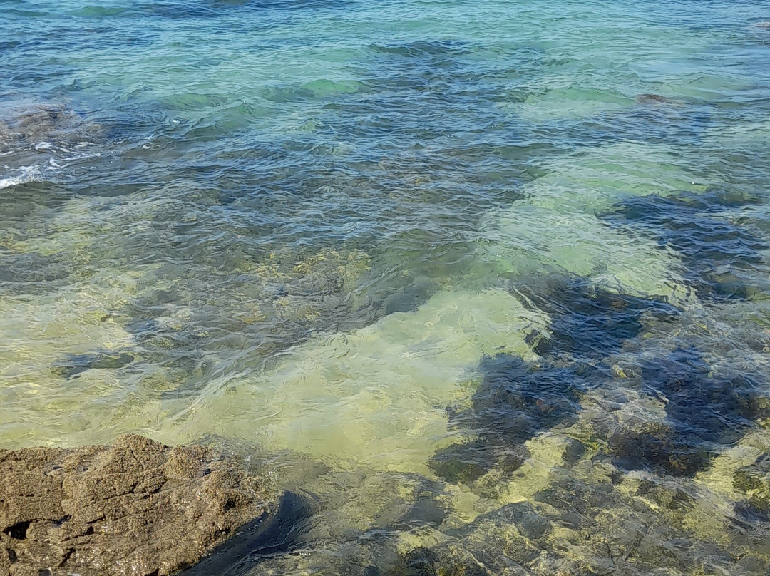 Plage de la Pissotte景点图片