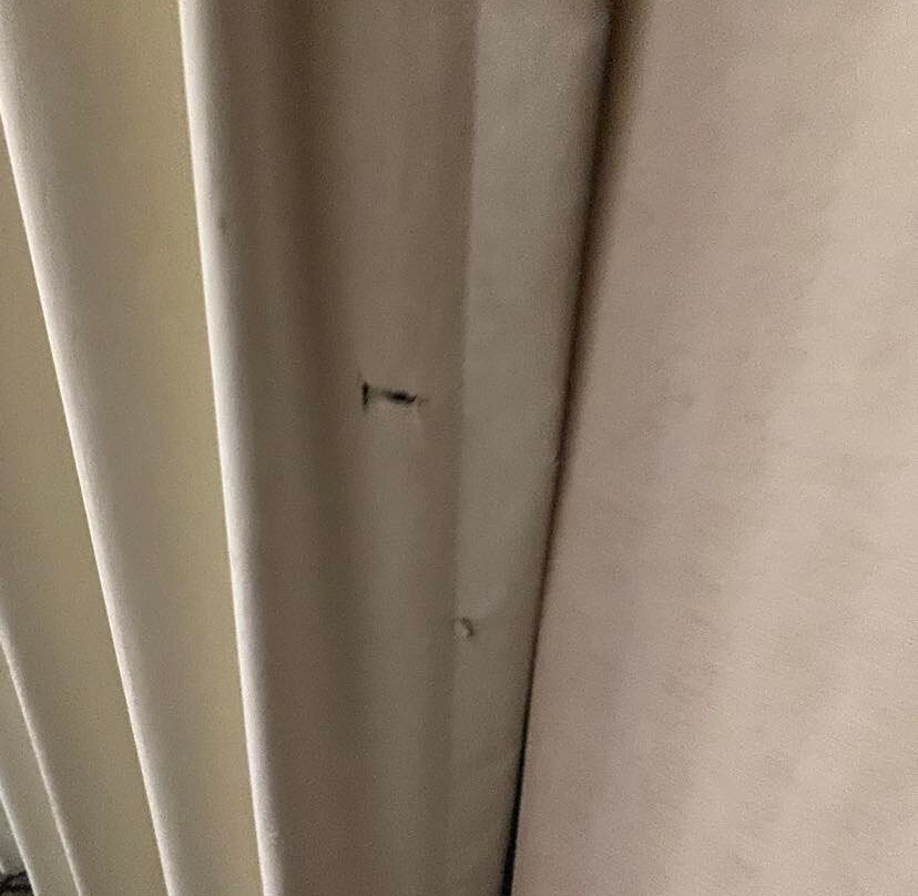 Best Western Edgewater Resort主图