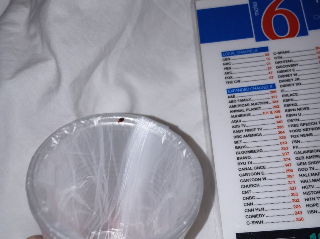 德尔顿湖6号汽车旅馆主图