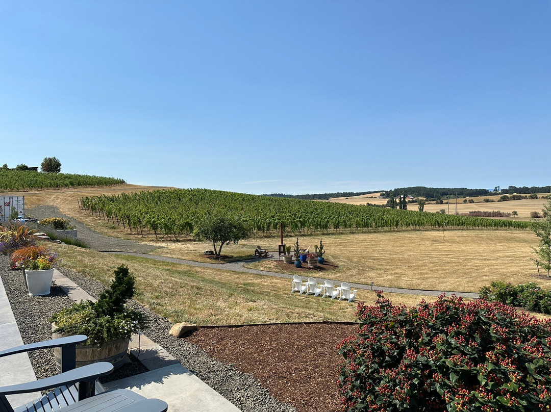 Andante Vineyard-Dallas必去景点