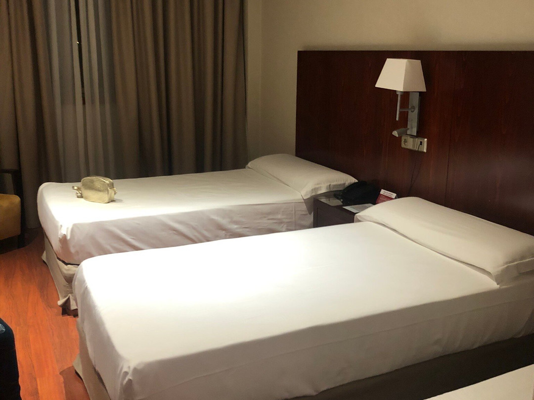 洛萨斯大酒店主图