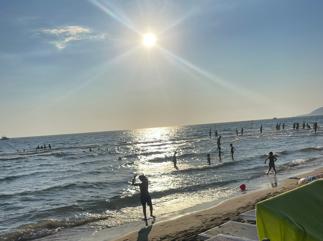 Mister Marlin Beach景点图片