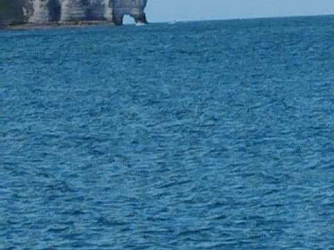 Au Gré Des Vents - Sorties En Mer Sur Vieux Gréements-费康必去景点