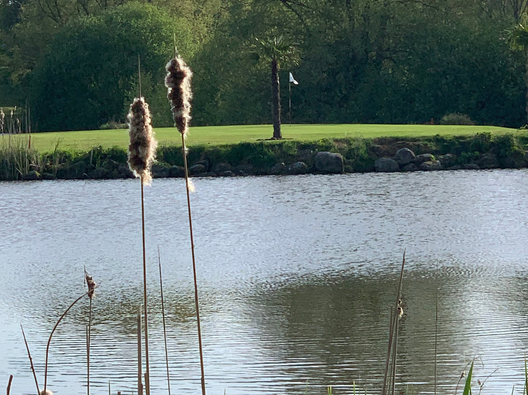 Golfclub Gut Waldshagen景点图片