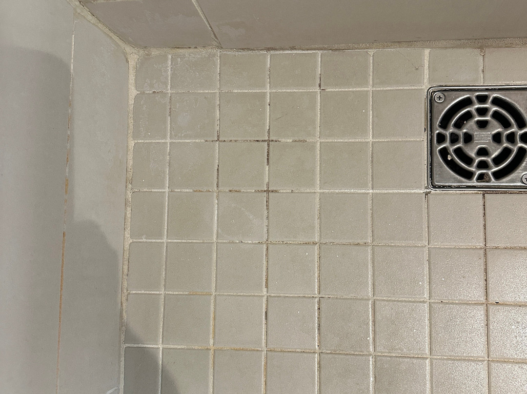 Sheraton Montreal Airport Hotel主图