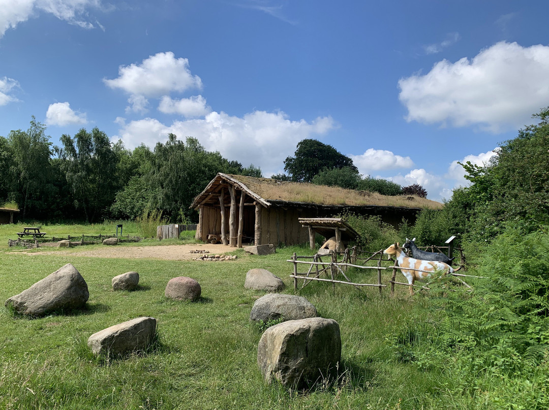Steinzeitpark Dithmarschen景点图片
