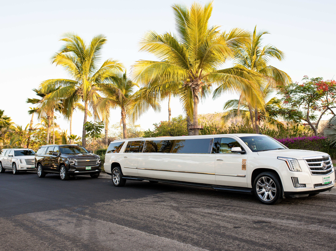 Brown's Private Services Transportation-卡波圣卢卡斯必去景点