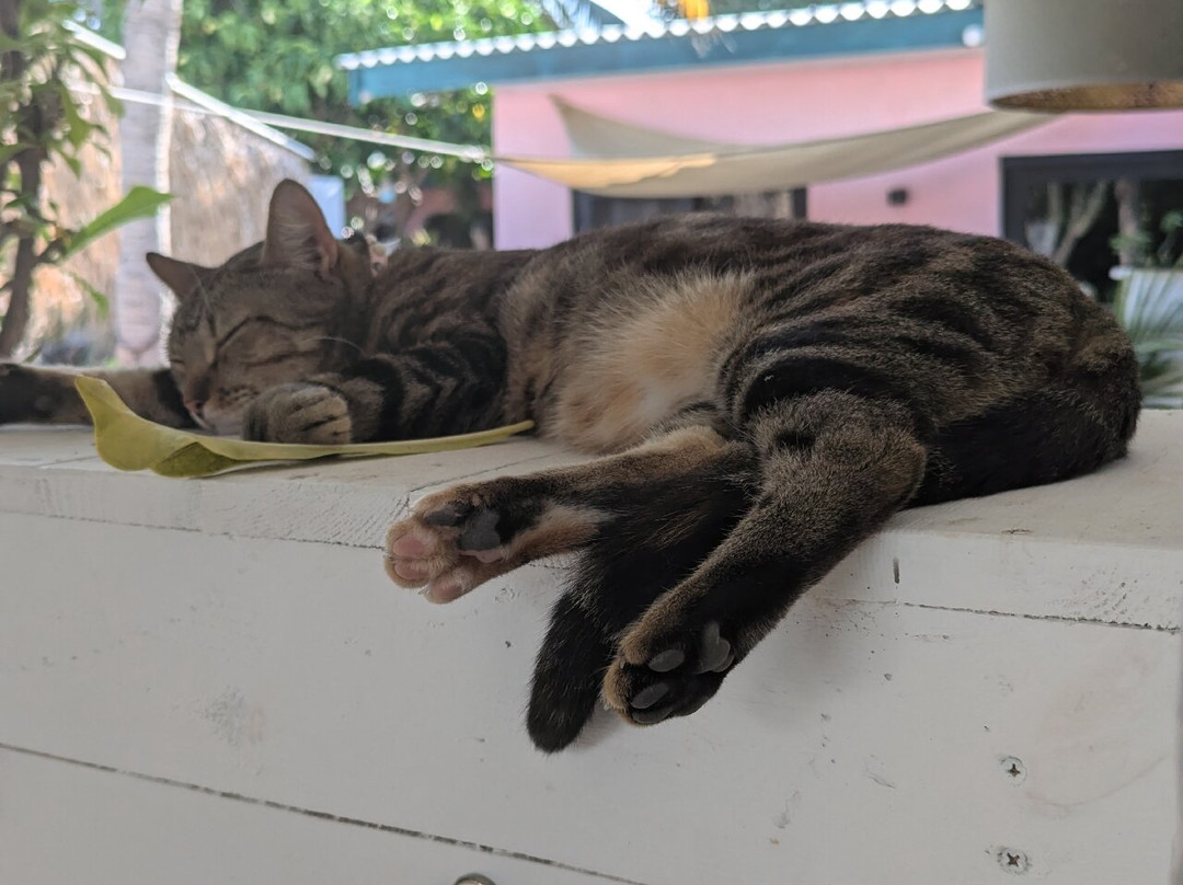 Thuishaven Boutique Mini-Resort主图