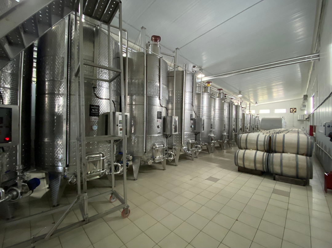 Myskhako Winery-Myskhako必去景点