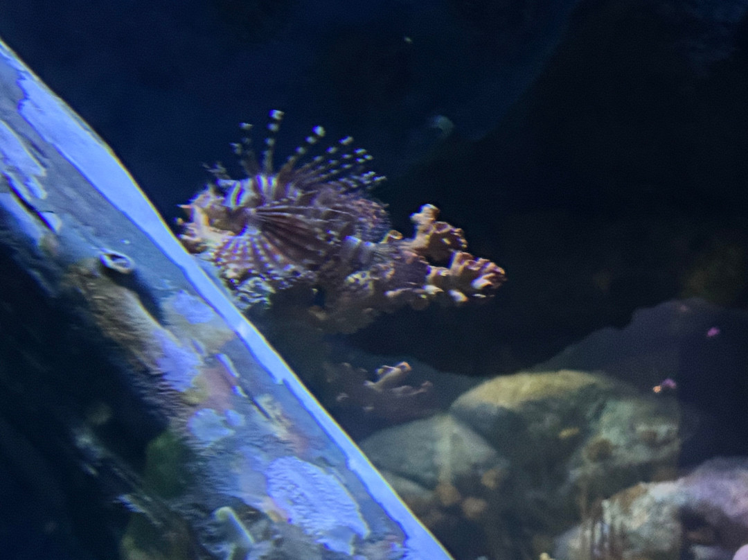 Underwater World Pattaya-Nong Prue必去景点