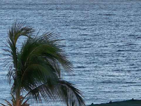 VK圣安东尼奥酒店主图