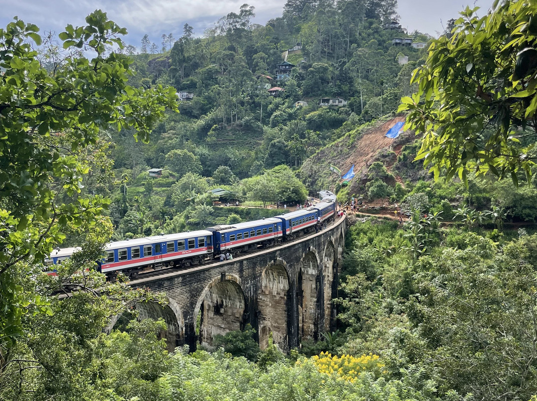 Visit Sri Lanka Transfers景点图片