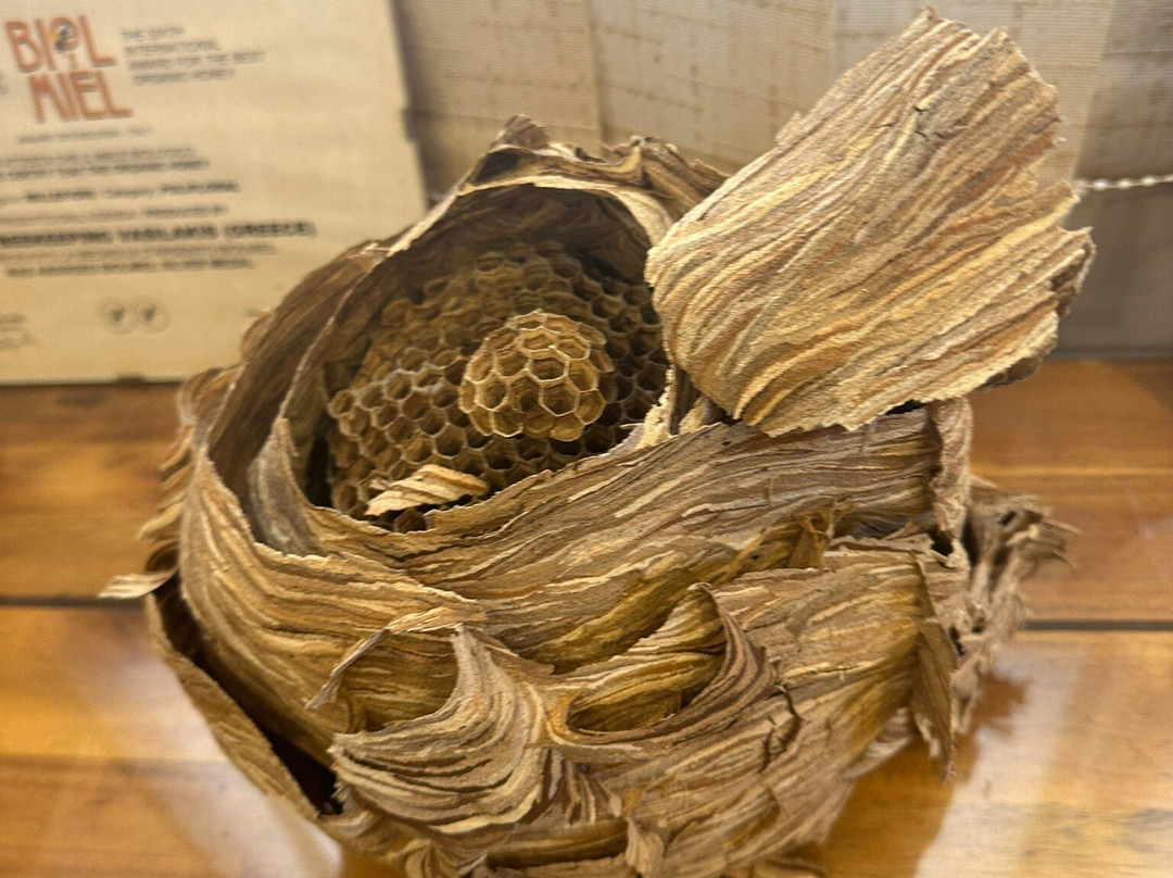 Corfu Beekeeping Vasilakis-Vatos必去景点