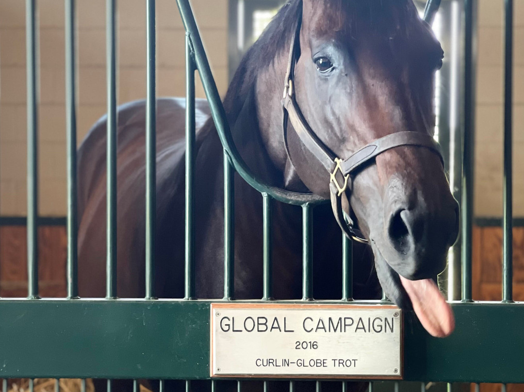 WinStar Farm-Versailles必去景点