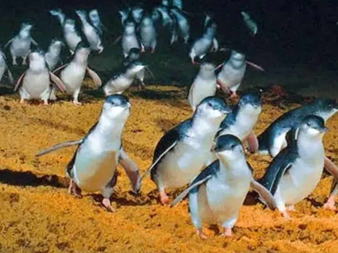 亚瑟菲利普汽车旅馆主图