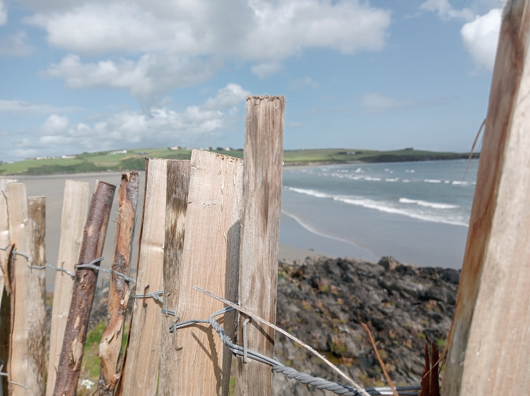 Inchydoney Beach-Inchydoney Island必去景点