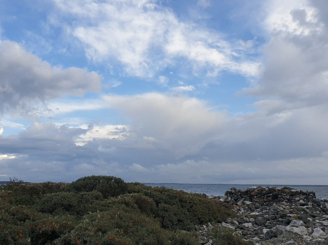 Kylmapihlaja Lighthouse Island-劳马必去景点