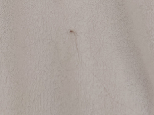 Futura Club Casarossa