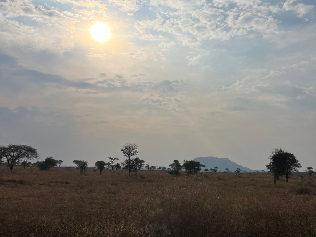 Tanzania Destination-阿鲁沙必去景点