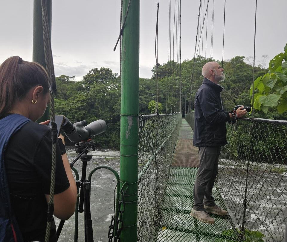 Tirimbina Rainforest Lodge主图