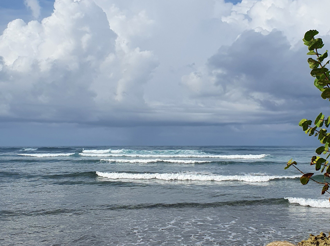 Grand Paradise Samana All Inclusive