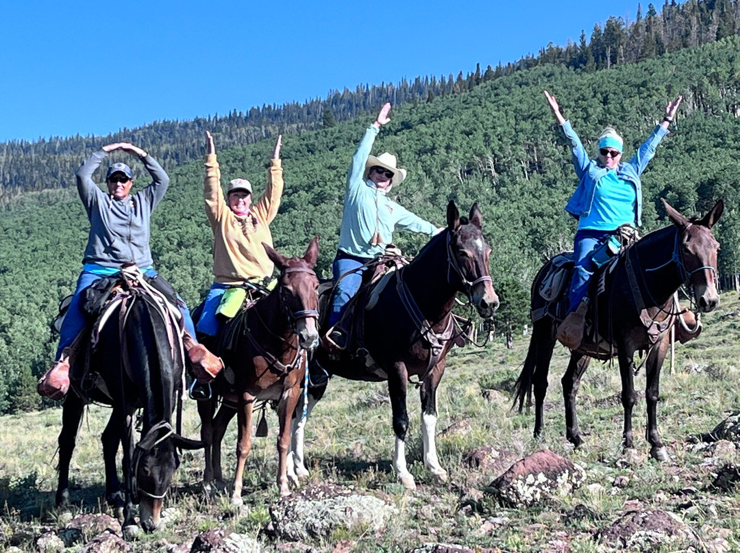 Mecham Outfitters-特罗皮克必去景点