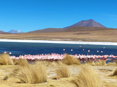 Buhos Tours-拉巴斯必去景点