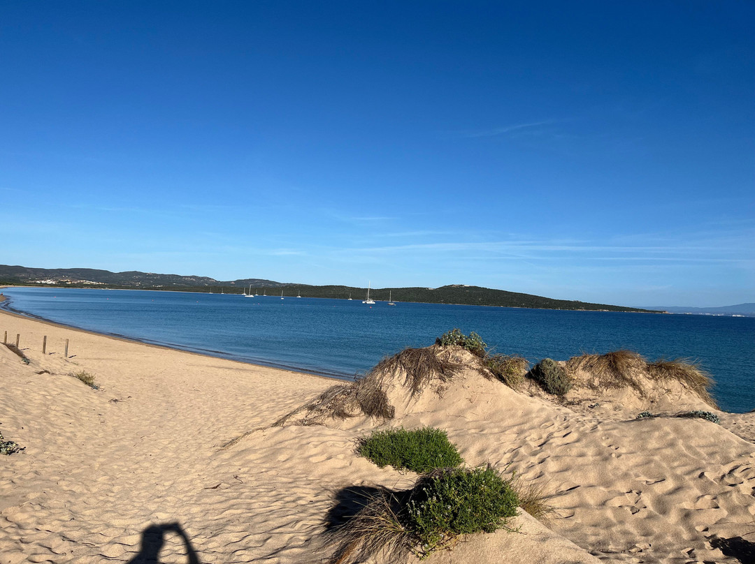 Spiaggia Porto Liscia-圣特雷莎加卢拉必去景点