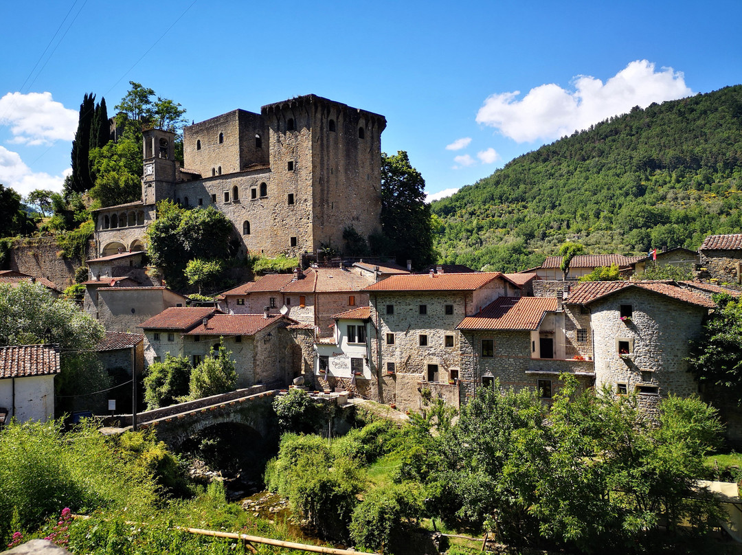 Castello della Verrucola景点图片