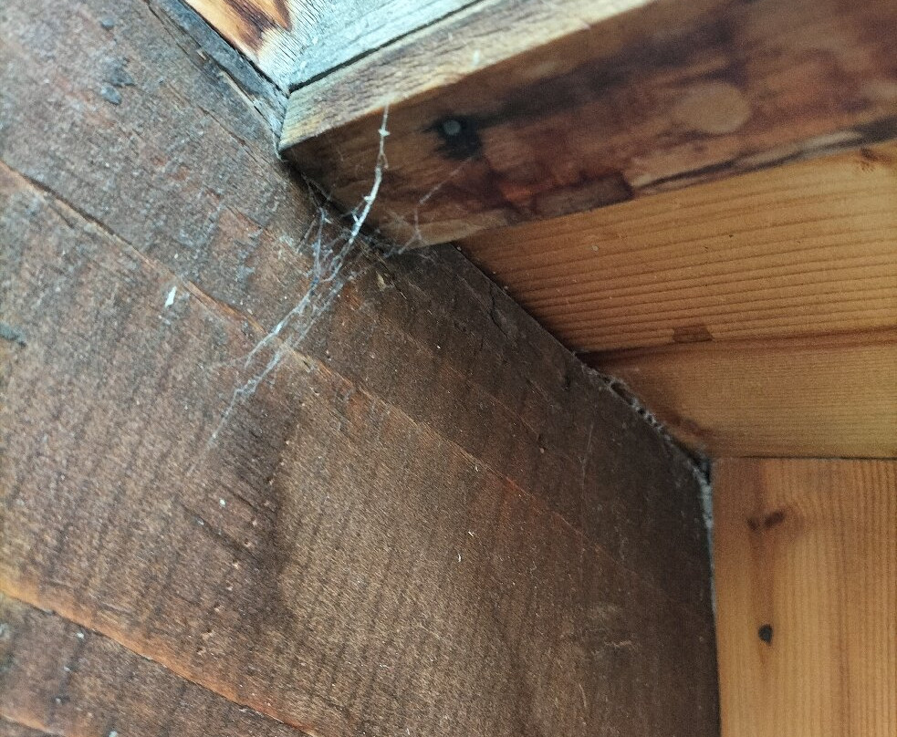 Casa Alpina Sant' Apollinare主图