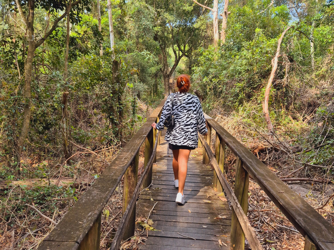 Ruinas do Rio Salinas-Anchieta必去景点