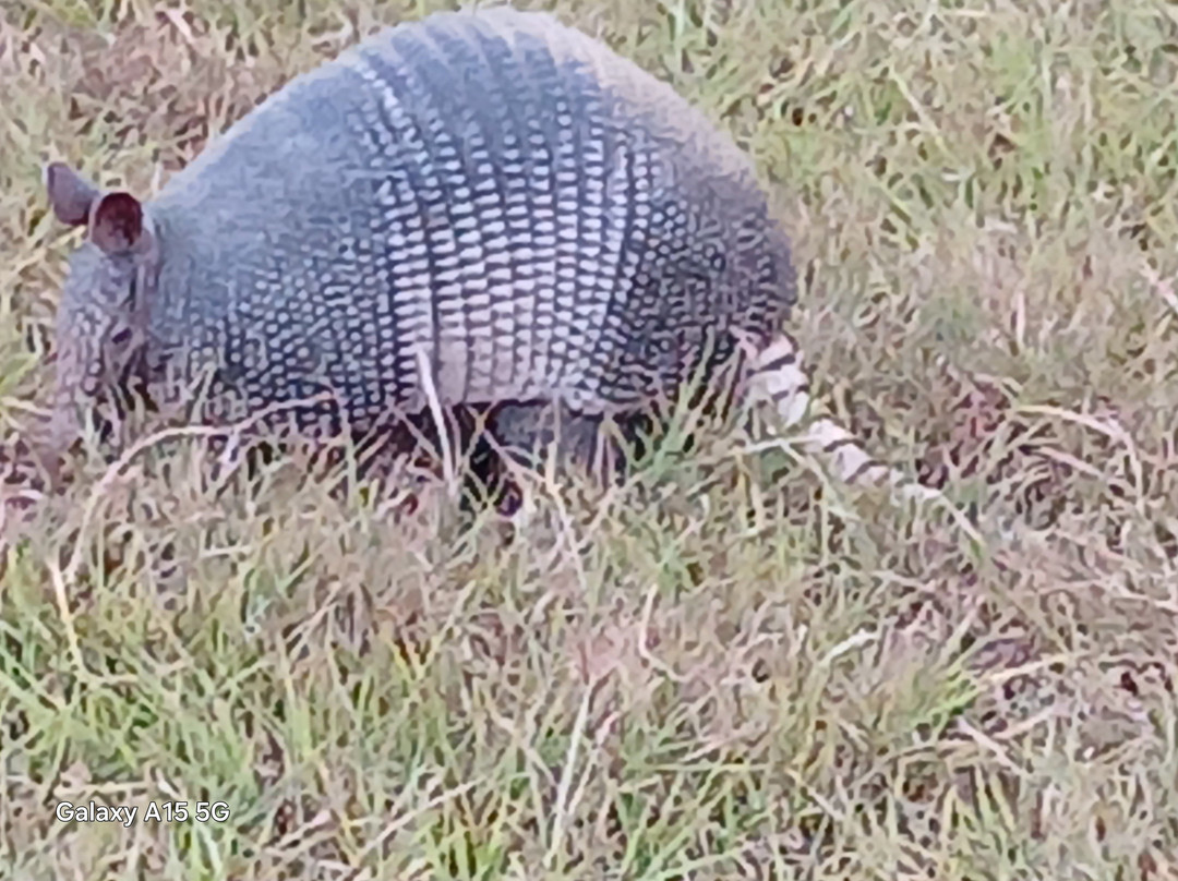 High View Park-恩尼斯必去景点