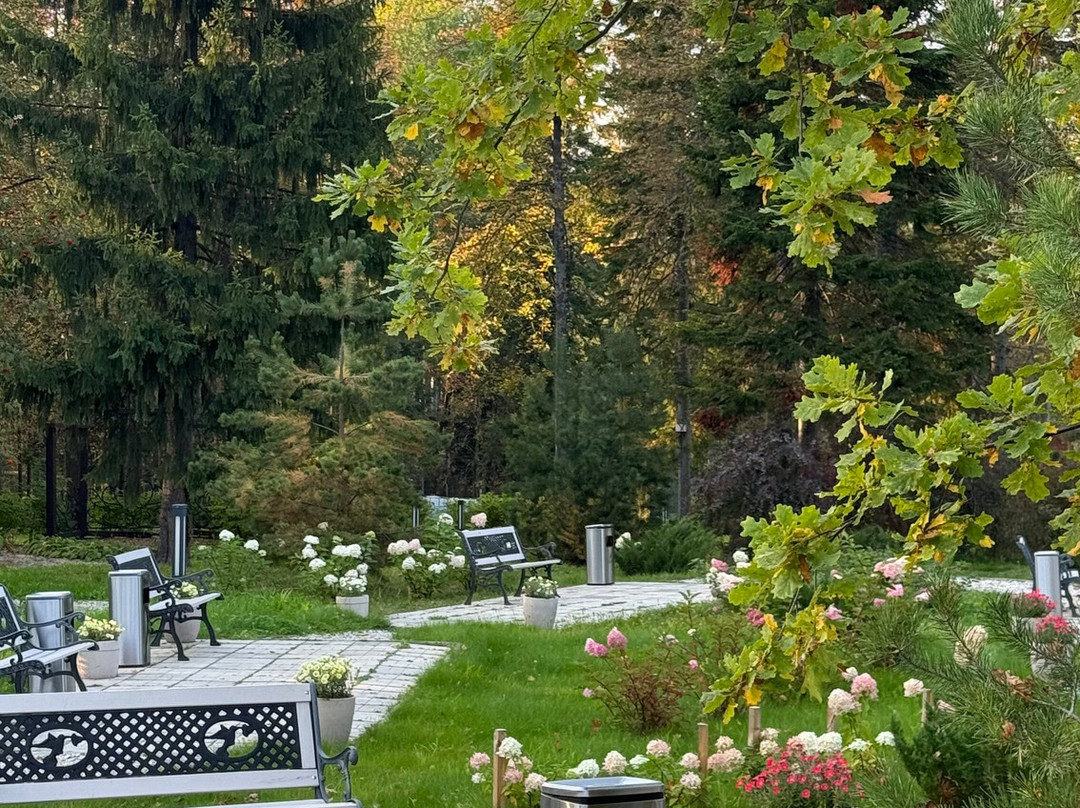 Park-Hotel Izhevsk主图