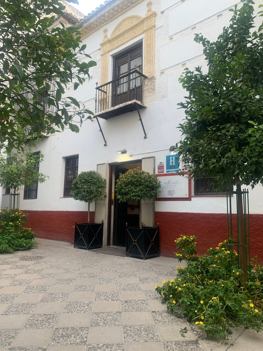 帕拉西奥德圣伊内斯酒店-浴室