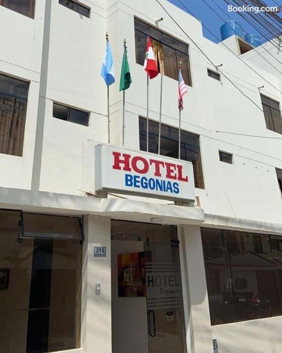 Hotel Begonias主图