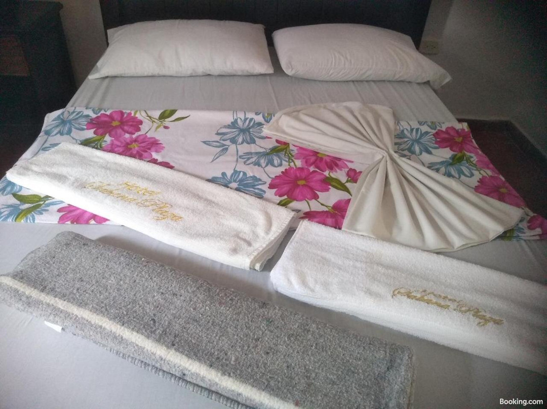 Hotel Sabana Plaza