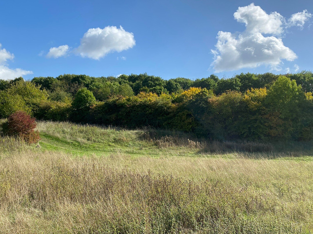 Castle Hill Country Park景点图片