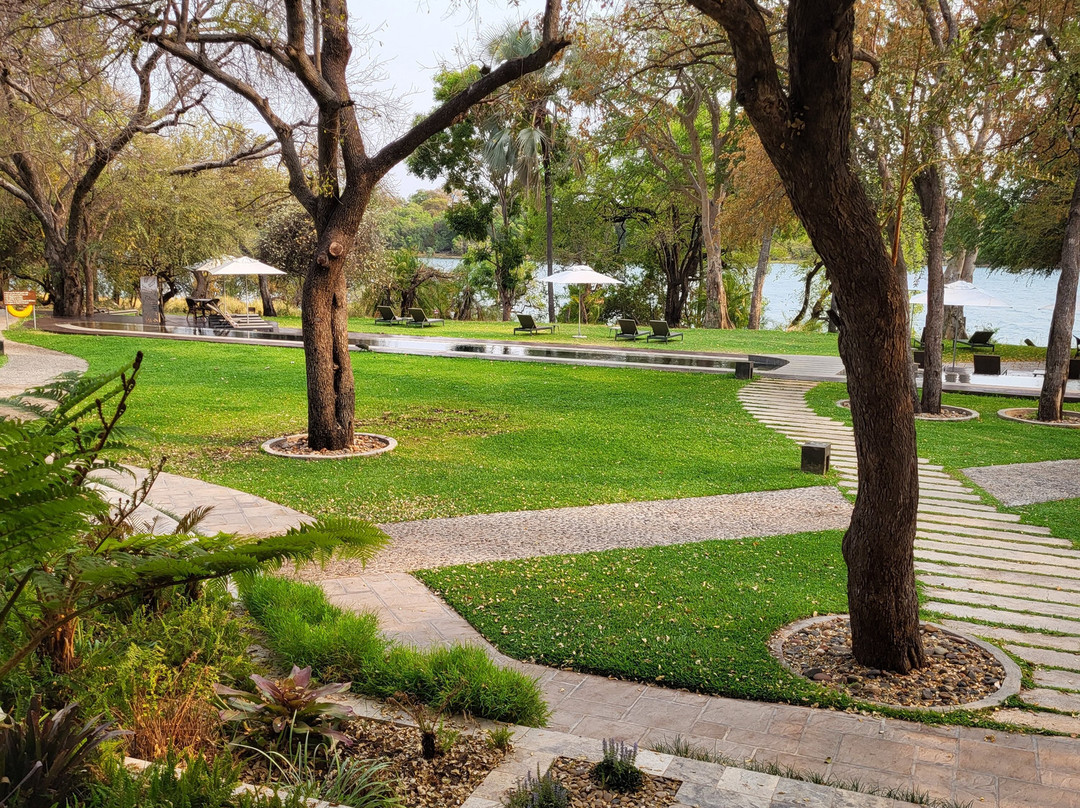 The Palm River Hotel主图