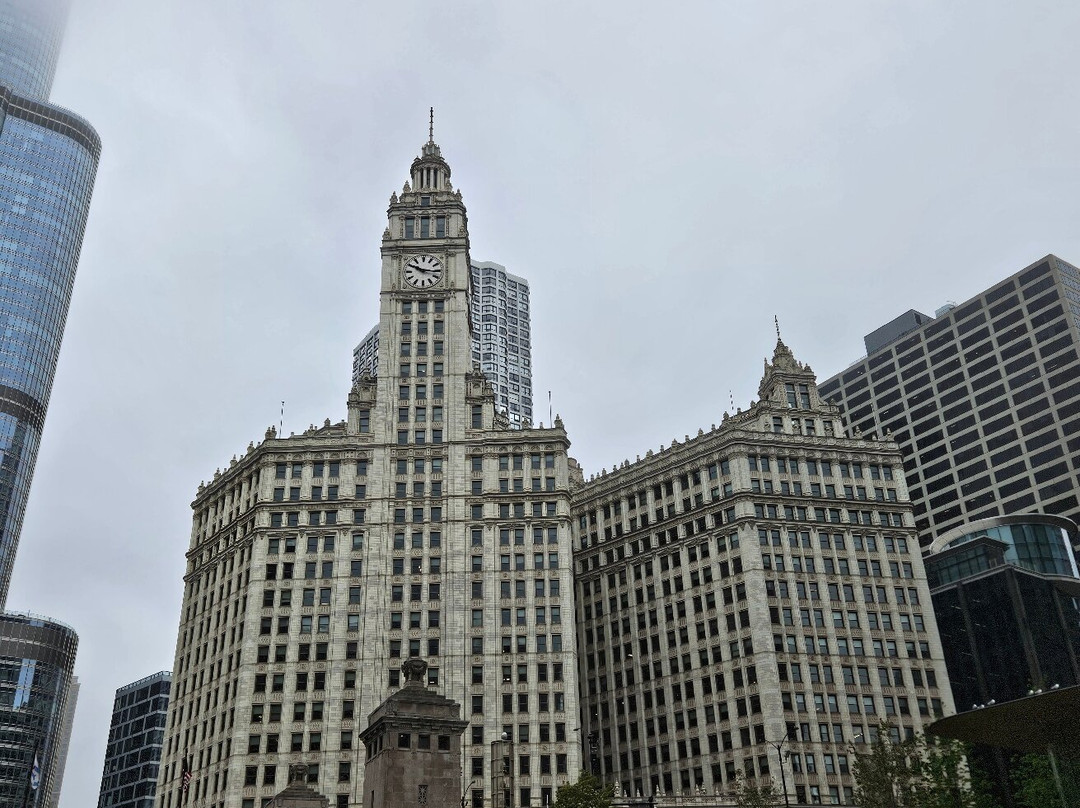 芝加哥船之旅-芝加哥必去景点