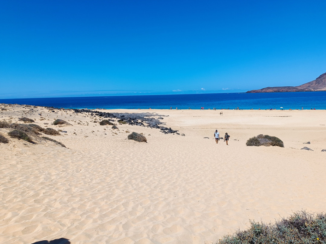 Safari la Graciosa Daniel景点图片