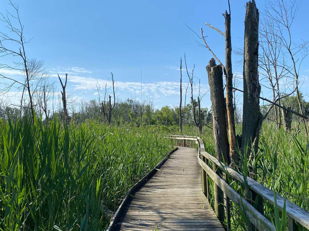 Maumee Bay State Park-Oregon必去景点