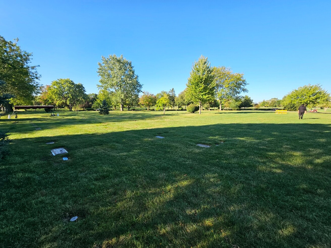 Shalom Memorial Park-阿灵顿海茨必去景点